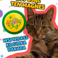 Magnes + Dakar