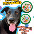 Magnes + Vito