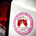 magnes auto kotek kolor1